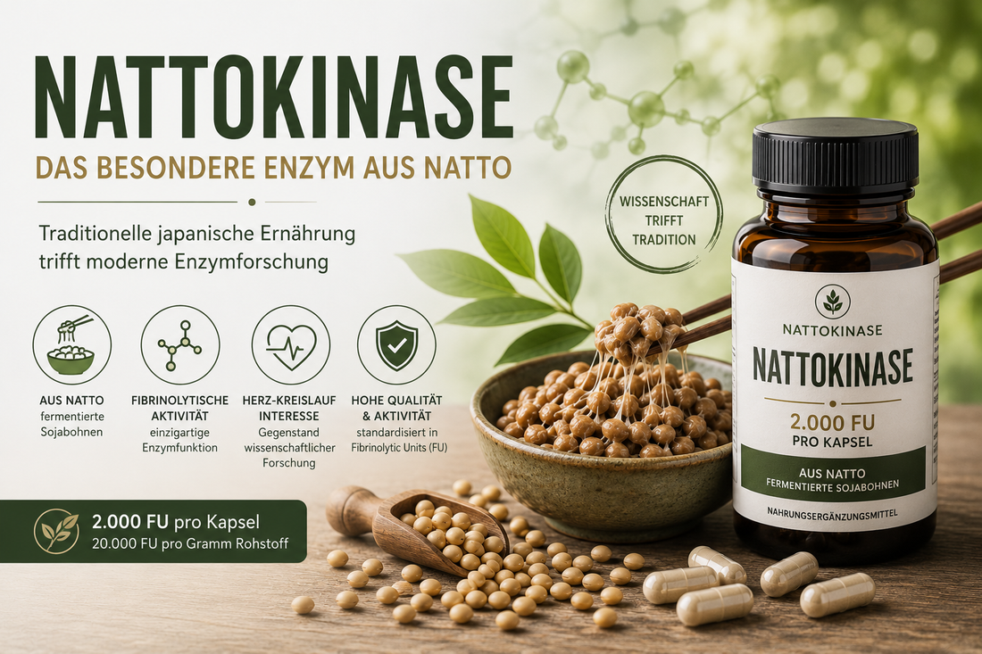 Nattokinase – warum das Enzym aus Natto heute so interessant ist