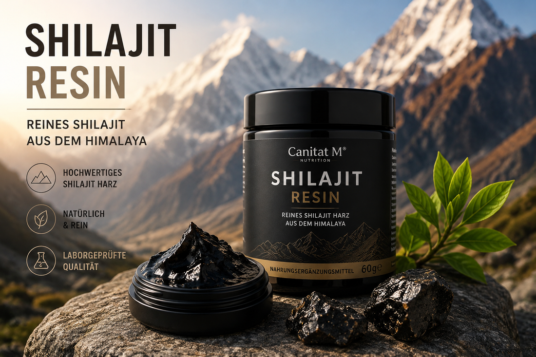 Shilajit – Was steckt hinter dem Naturharz aus dem Himalaya?