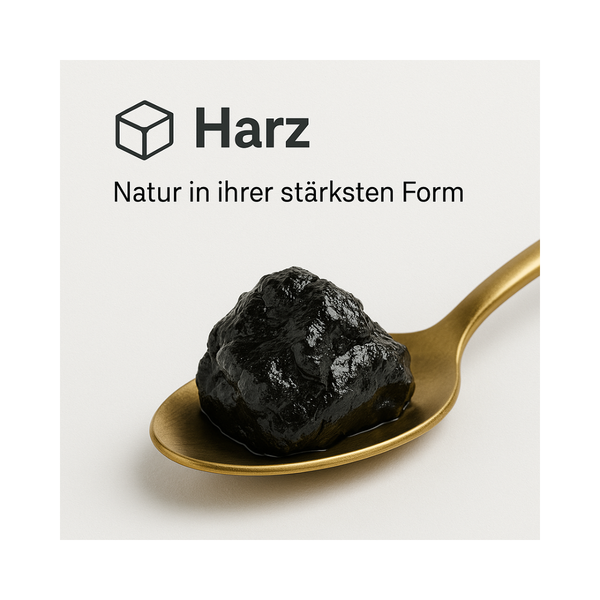 HARZ