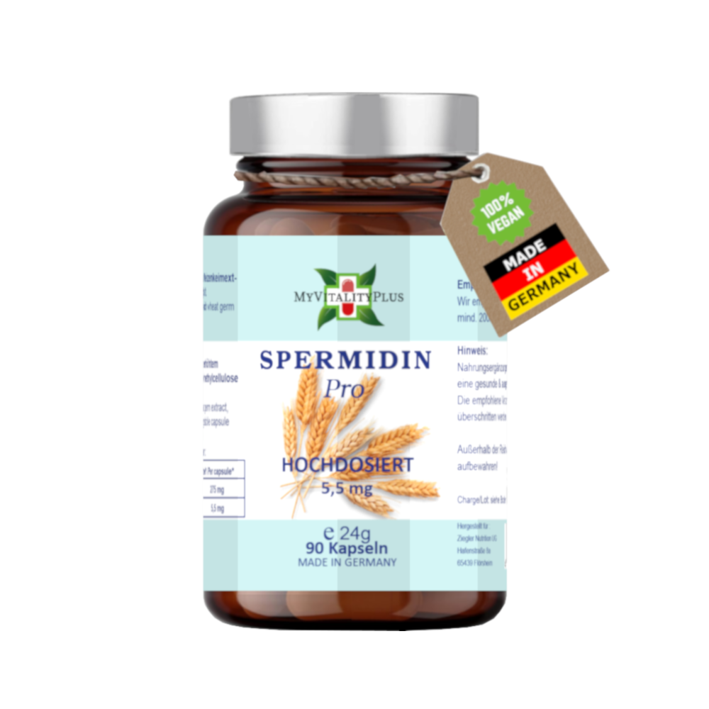 Spermidin Pro 5,5 mg – 90 vegane Kapseln  | MyVitalityPlus