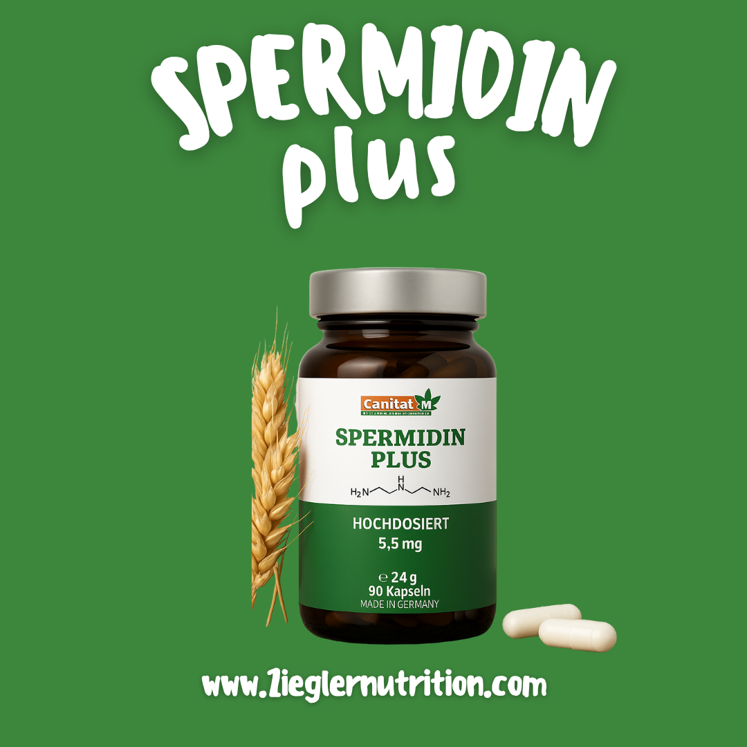 Spermidin Plus | Canitat M 5,5mg    |    90 Kapseln