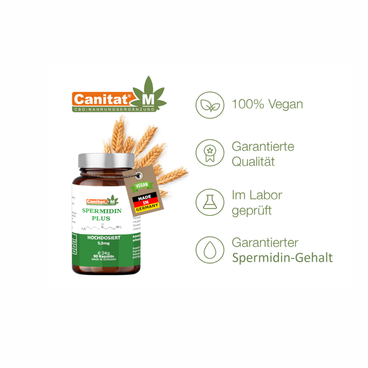 Spermidin Plus | Canitat M 5,5mg    |    90 Kapseln