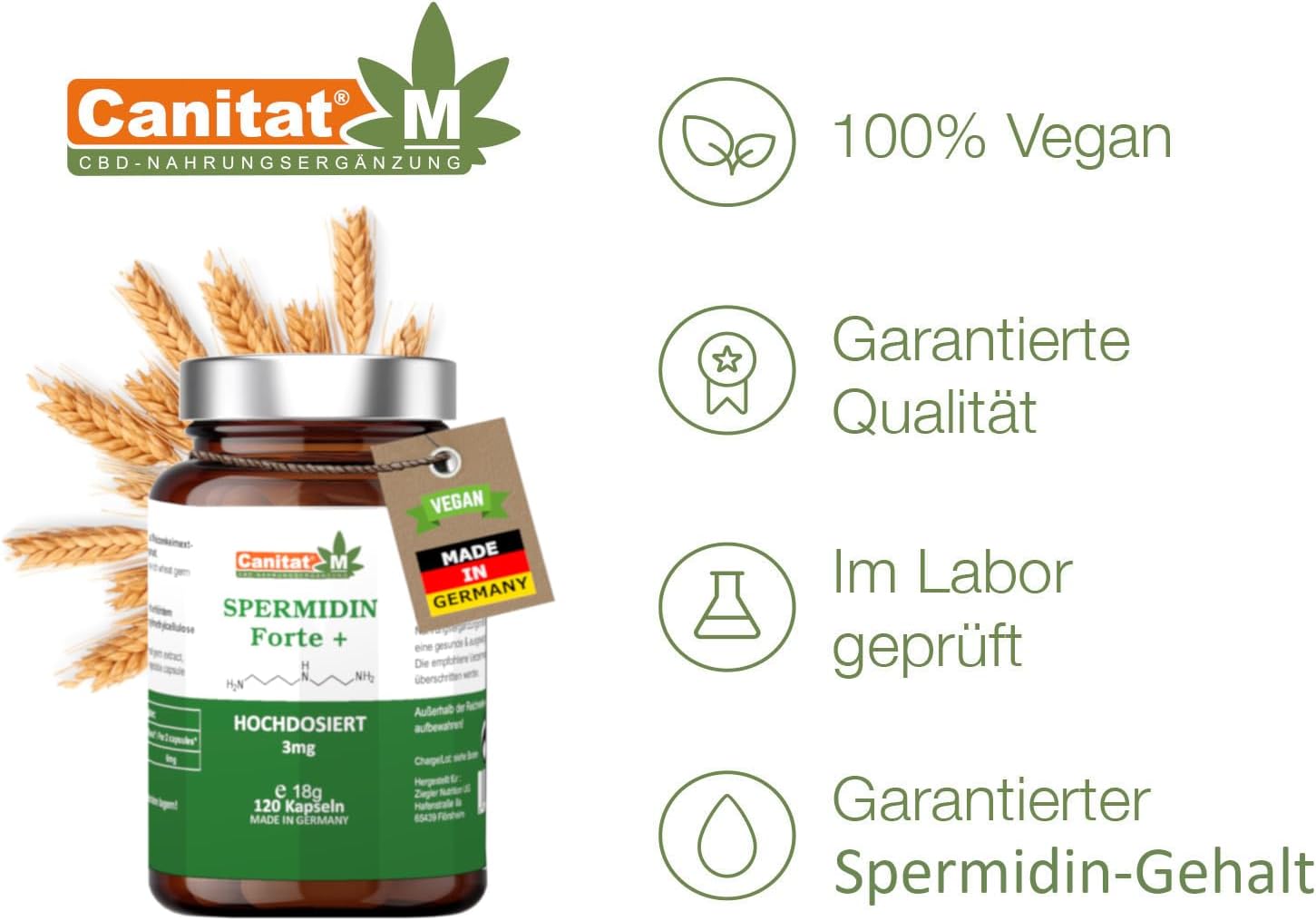 Spermidin Forte 3 mg – 120 vegane Kapseln | Zellschutz & Vitalität | Canitat M