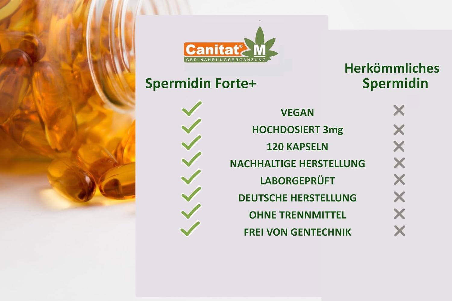 Spermidin Forte 3 mg – 120 vegane Kapseln | Zellschutz & Vitalität | Canitat M