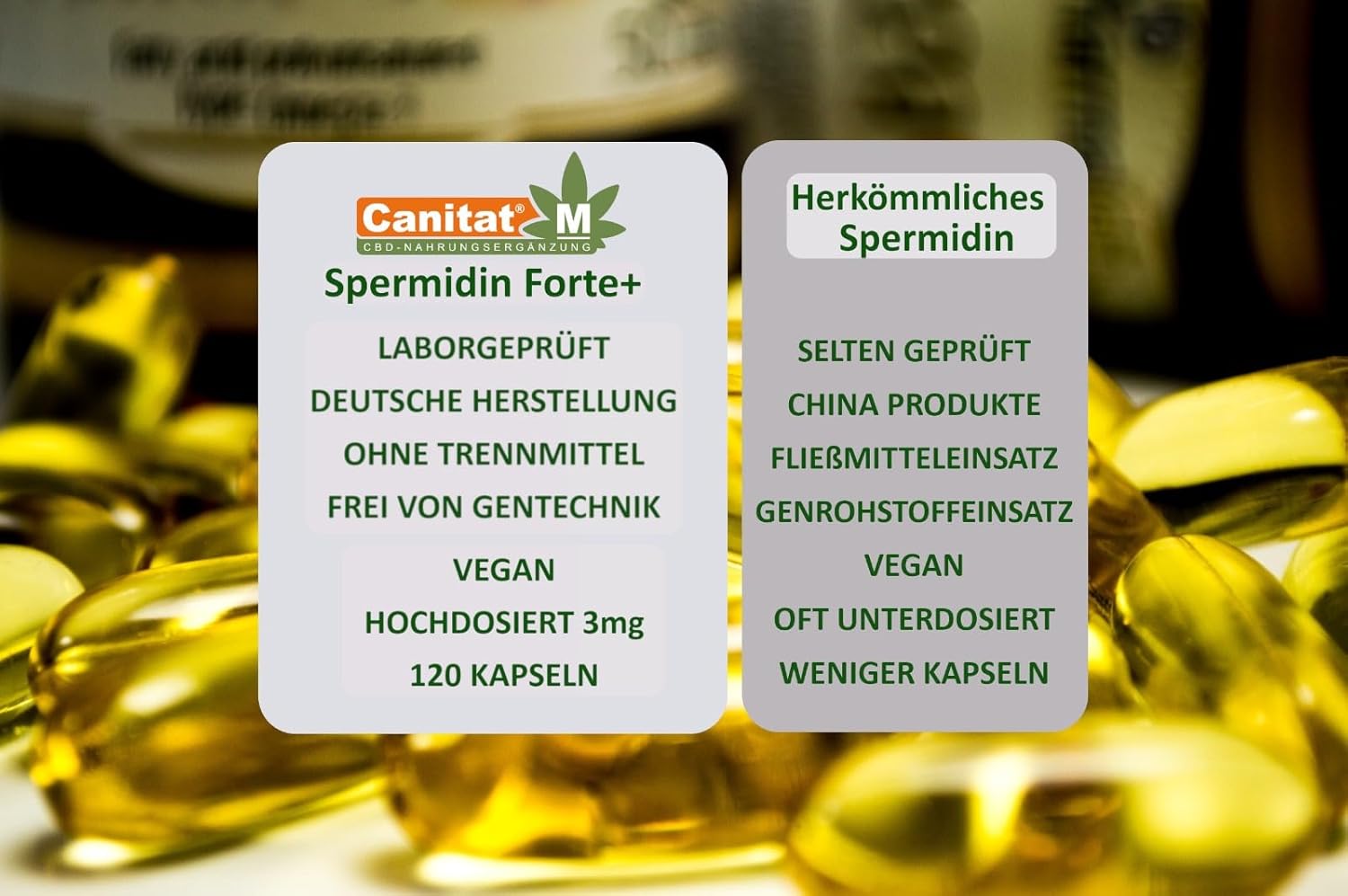 Spermidin Forte 3 mg – 120 vegane Kapseln | Zellschutz & Vitalität | Canitat M