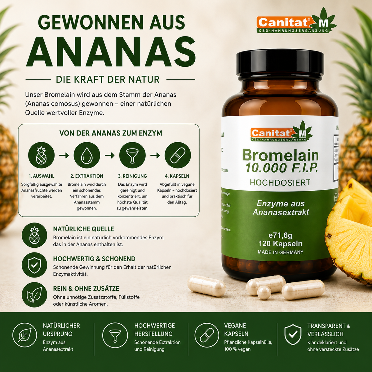 Bromelain 10.000 F.I.P. – Hochdosiertes Bromelain aus Ananas | 120 Kapseln | Canitat® M