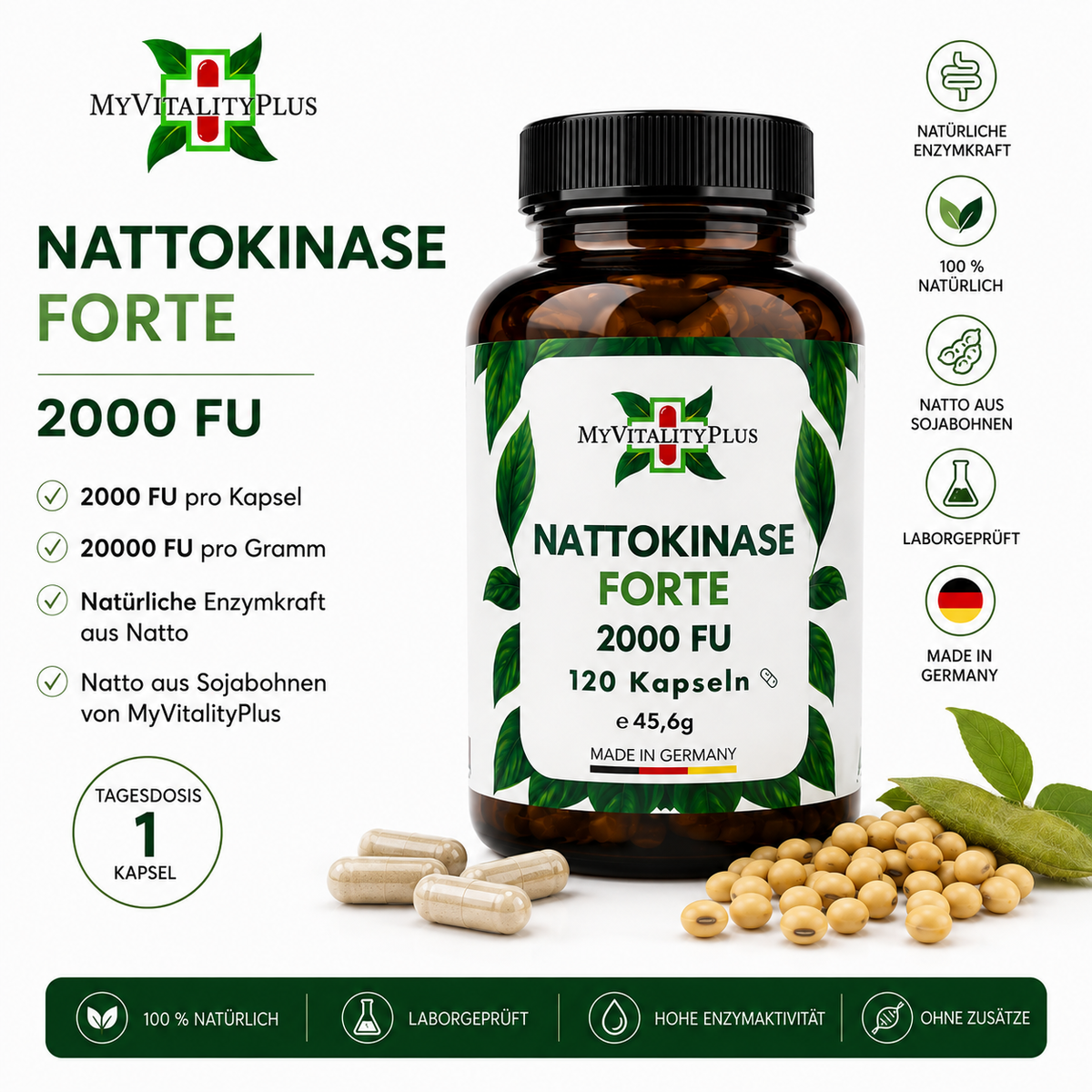 Nattokinase Forte 2.000FU | Enzymaktivität 20.000FU/g | Hochdosiert | 120 Kapseln | Myvitalityplus