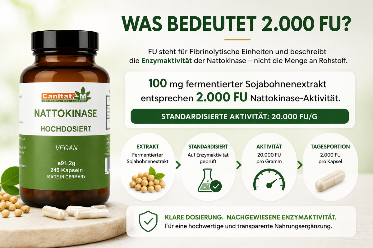 Nattokinase 20.000 FU/g – 2.000 FU pro Kapsel | 240 vegane Kapseln | 8 Monate Vorrat | Canitat® M