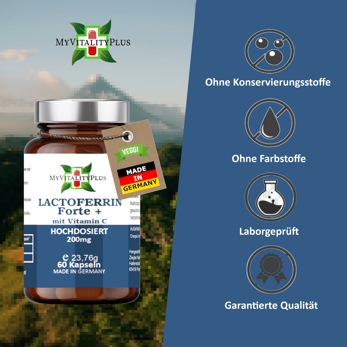 MyVitalityPlus Lactoferrin Forte+ | >97% reines natürliches Lactoferrin | 90 Kapseln