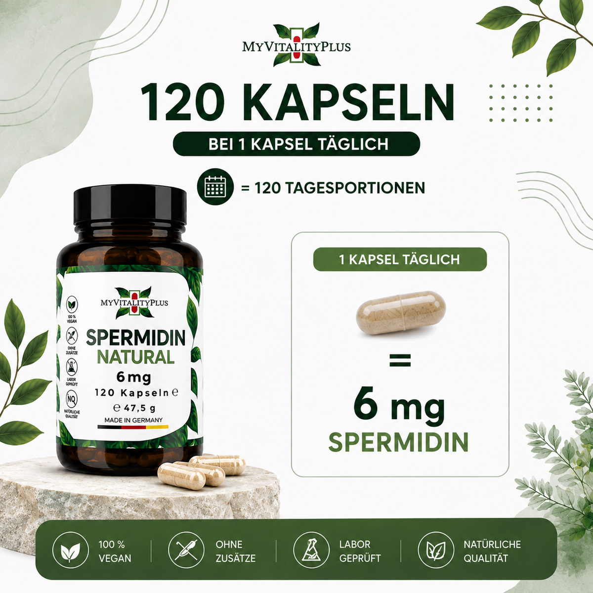 MyVitalityPlus Spermidin Natural – 6 mg Spermidin aus Weizenkeimextrakt – 120 Kapseln
