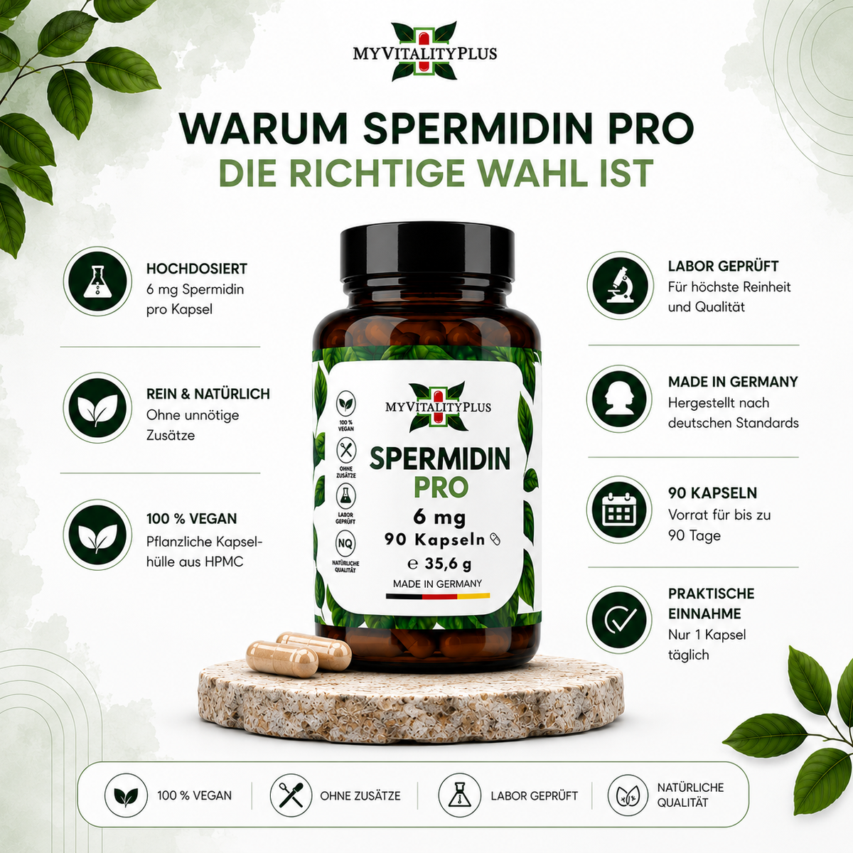 Spermidin Pro 6 mg – 90 vegane Kapseln  | MyVitalityPlus