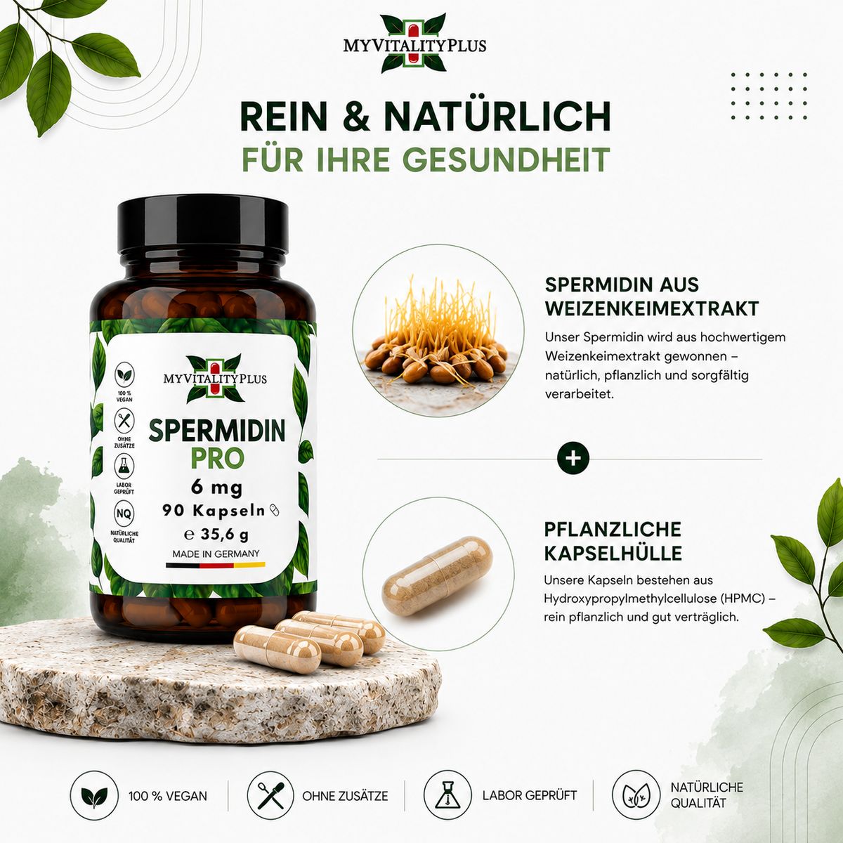 Spermidin Pro 6 mg – 90 vegane Kapseln  | MyVitalityPlus