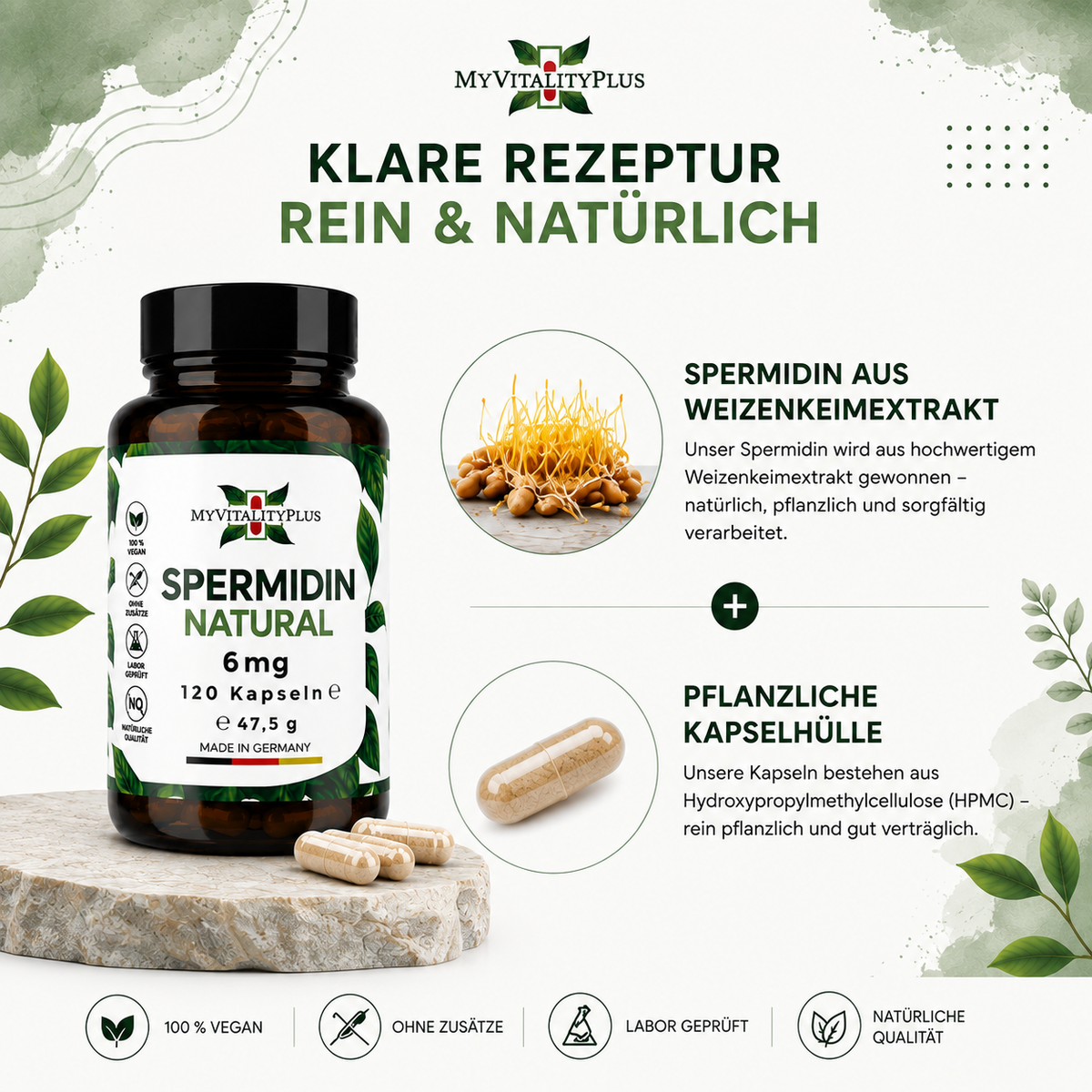 MyVitalityPlus Spermidin Natural – 6 mg Spermidin aus Weizenkeimextrakt – 120 Kapseln